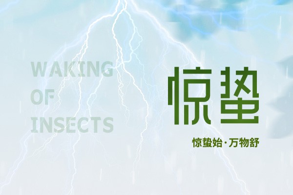 時至驚蟄 | 春雷始鳴，萬物生機盎然